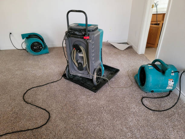 Best Water damage cleanup near me  in Cambridge City, IN