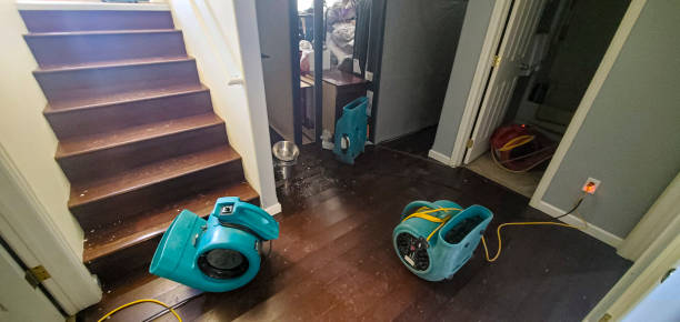  Cambridge City, IN Water damage restoration Pros