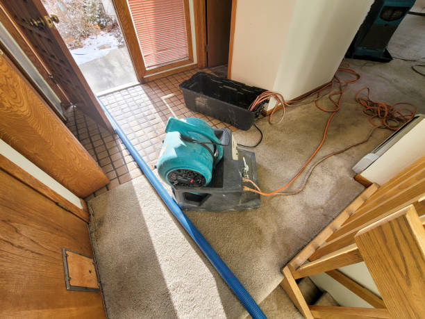 Best Local water damage restoration  in Cambridge City, IN
