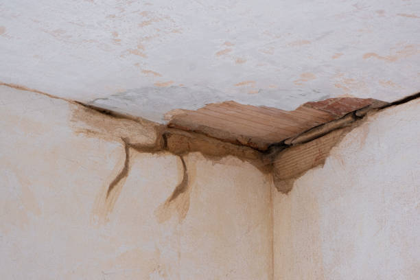 Best Flood damage cleanup  in Cambridge City, IN