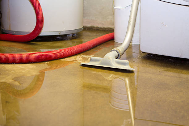 Best Water damage restoration near me  in Cambridge City, IN