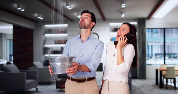Best 24-hour water damage restoration  in Cambridge City, IN